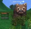 charme_ours_des_cavernes.jpg
