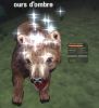 charme_ours_dombre104.jpg