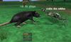 charme_rat_de_plage.jpg