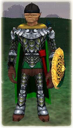 Armure épique du Druide