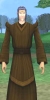 marron_fonce.jpg