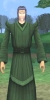 vert_clair.jpg