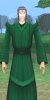 vert_foret.jpg