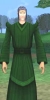 vert_royal.jpg