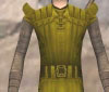 jaune_royal.jpg