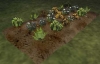 pt_potager.jpg