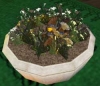pot_fleurs.jpg