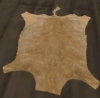 tapis_chat_collines.jpg