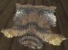 tapis_loup_hargne.jpg