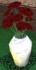 vase_rose_rouge.jpg