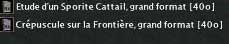 Tableaux et cartes